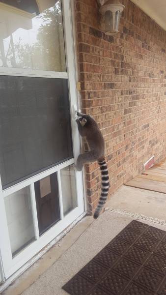 morning picdump 52 pics 24.html - 52 HD Photos | Premium Gallery 2016