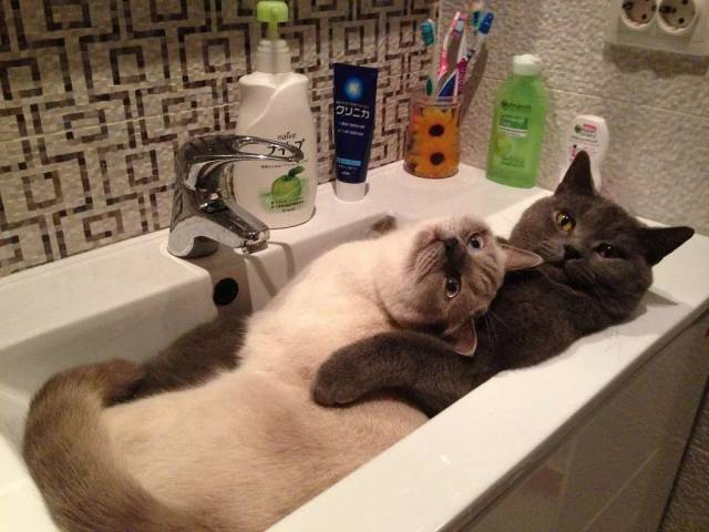 morning picdump 52 pics 24.html - 52 HD Photos | Premium Gallery 2016