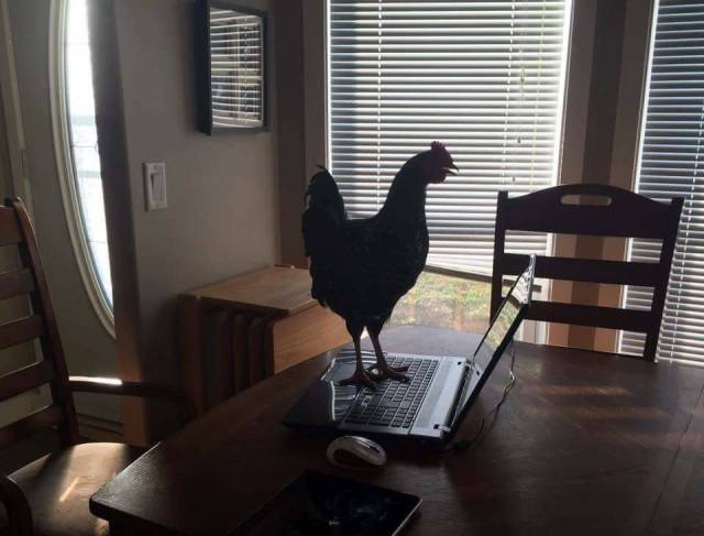 morning picdump 52 pics 24.html - 52 HD Photos | Premium Gallery 2016