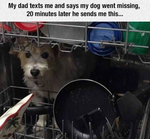 daily picdump 96 pics 9.html - 96 HD Photos | Premium Gallery 2016