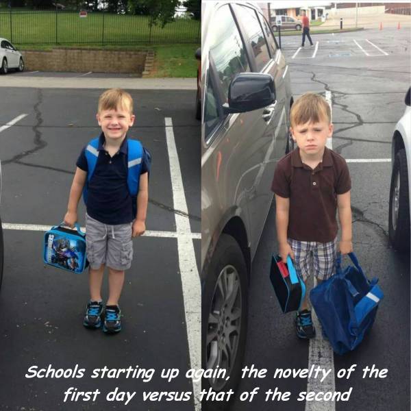 daily picdump 96 pics 9.html - 96 HD Photos | Premium Gallery 2016