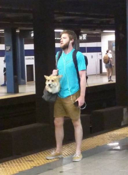 daily picdump 96 pics 9.html - 96 HD Photos | Premium Gallery 2016