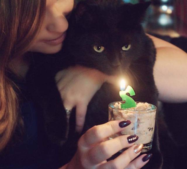 daily picdump 96 pics 9.html - 96 HD Photos | Premium Gallery 2016