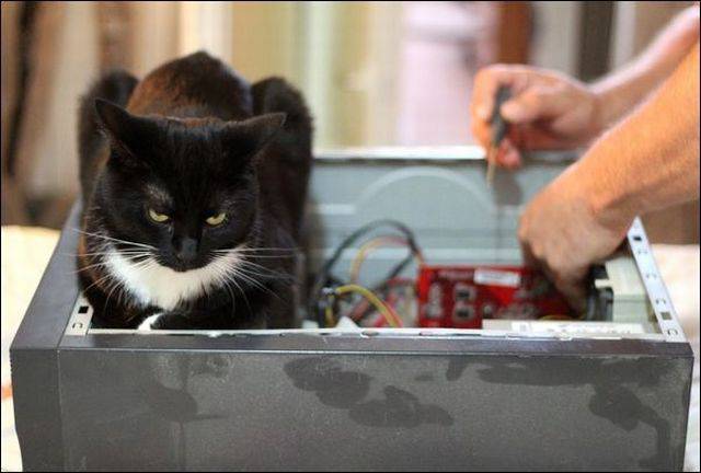 daily picdump 96 pics 9.html - 96 HD Photos | Premium Gallery 2016