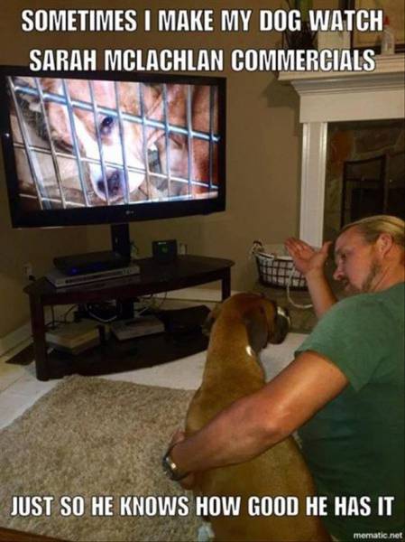 daily picdump 96 pics 9.html - 96 HD Photos | Premium Gallery 2016