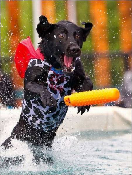 daily picdump 96 pics 9.html - 96 HD Photos | Premium Gallery 2016