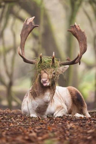 Daily Picdump [WEEKEND EDITION]