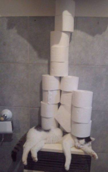 daily picdump weekend edition 62 pics 3.html - 62 HD Photos | Premium Gallery 2016