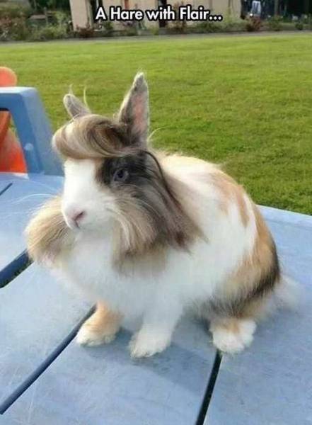 Daily Picdump