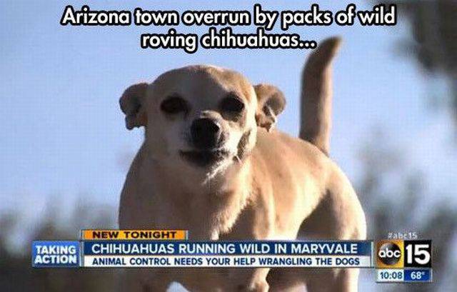Daily Picdump