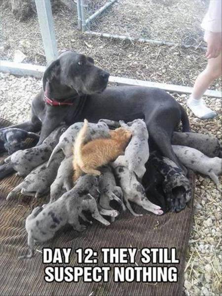 daily picdump 104 pics 48.html - 104 HD Photos | Premium Gallery 2016