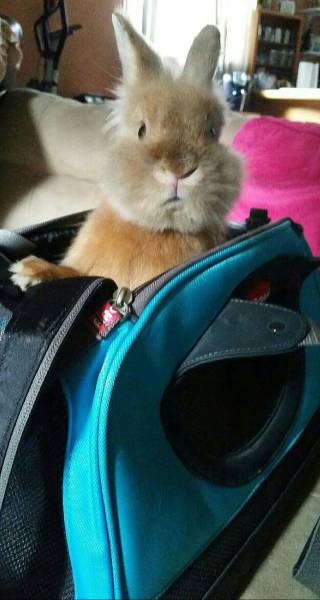 daily picdump 104 pics 48.html - 104 HD Photos | Premium Gallery 2016