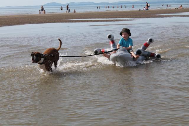 daily picdump 103 pics 27.html - 103 HD Photos | Premium Gallery 2016