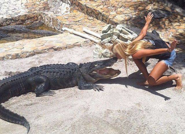 daily picdump 103 pics 27.html - 103 HD Photos | Premium Gallery 2016