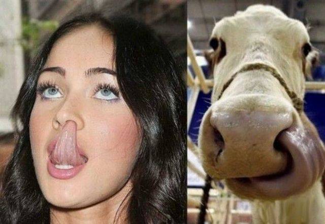 daily picdump 103 pics 27.html - 103 HD Photos | Premium Gallery 2016