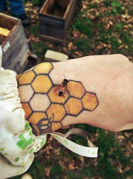 daily picdump 103 pics 27.html - 103 HD Photos | Premium Gallery 2016