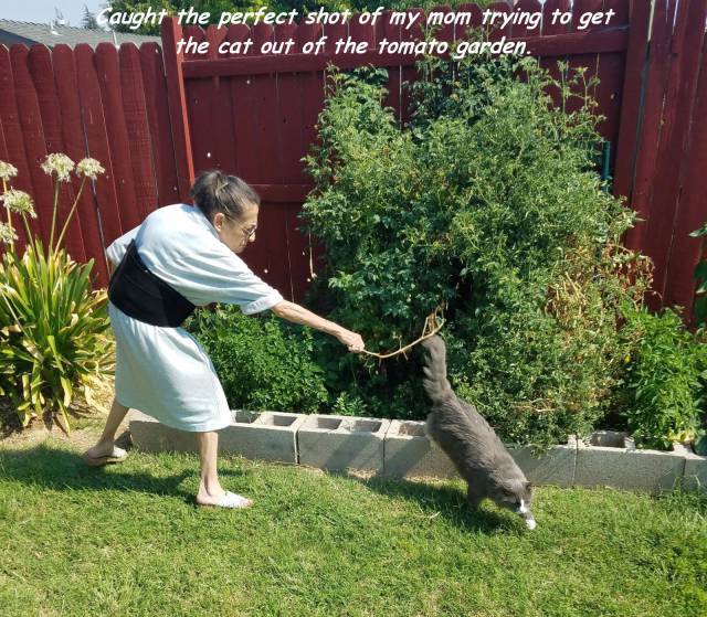 daily picdump 103 pics 27.html - 103 HD Photos | Premium Gallery 2016