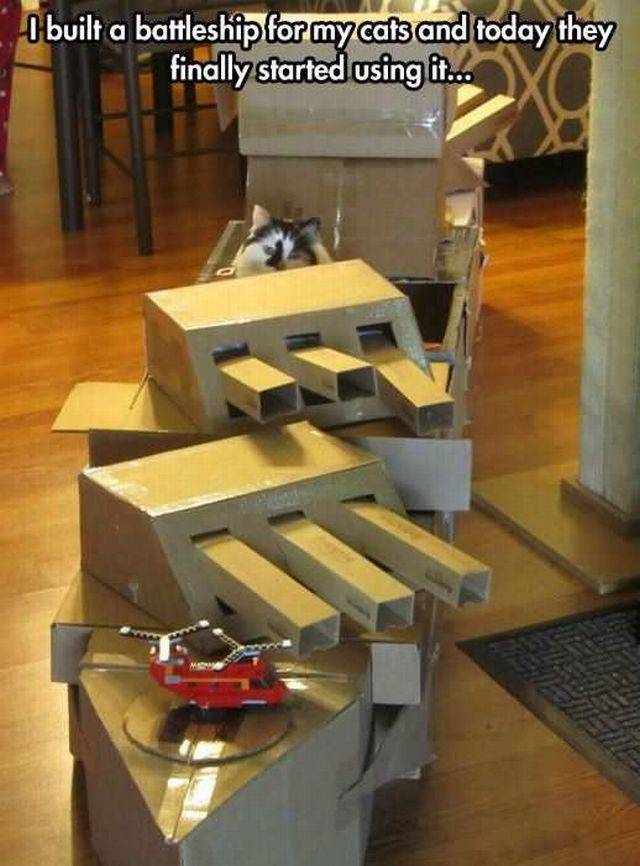 daily picdump 103 pics 27.html - 103 HD Photos | Premium Gallery 2016