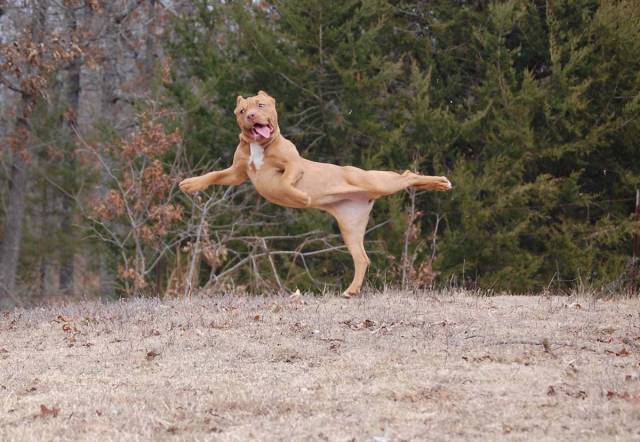 Morning Picdump