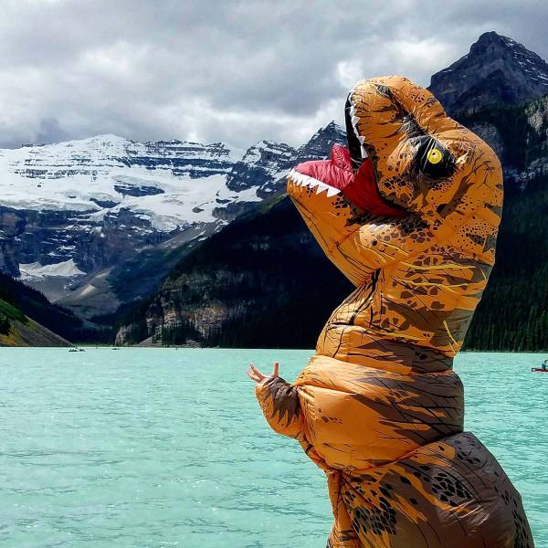 Morning Picdump