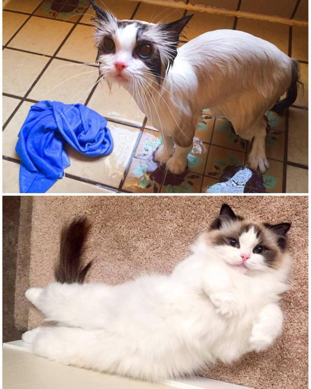 morning picdump 52 pics 2.html - 52 HD Photos | Premium Gallery 2016