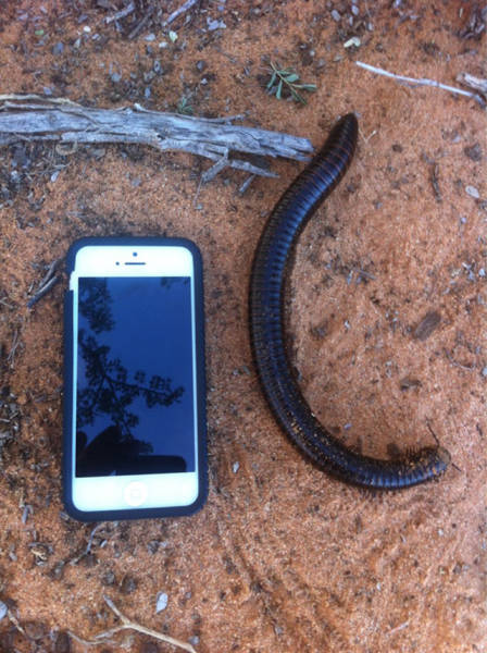 Sometimes the Only Question is WTF?