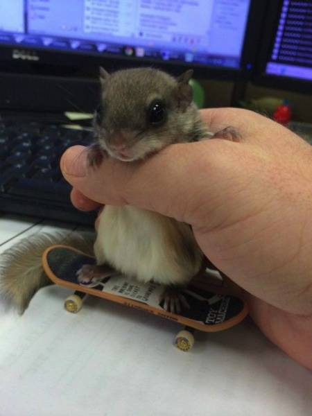 Daily Picdump
