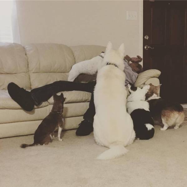 daily picdump 100 pics 25.html - 100 HD Photos | Premium Gallery 2016