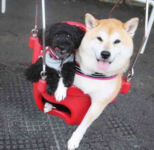 daily picdump 100 pics 25.html - 100 HD Photos | Premium Gallery 2016