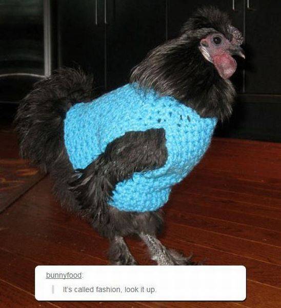 daily picdump 100 pics 25.html - 100 HD Photos | Premium Gallery 2016
