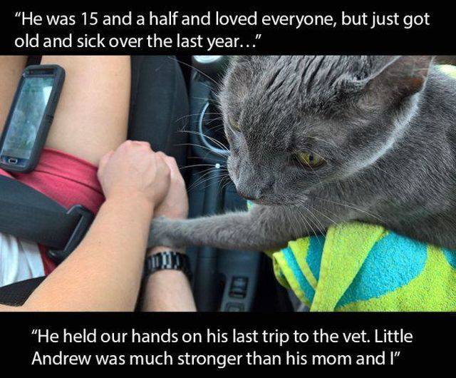 daily picdump 100 pics 25.html - 100 HD Photos | Premium Gallery 2016
