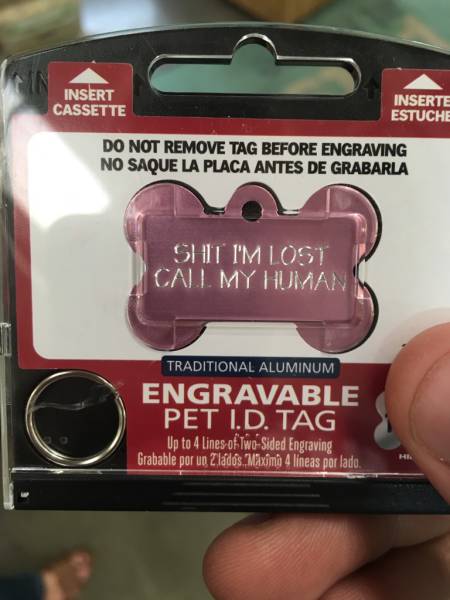 Morning Picdump