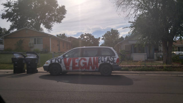 Morning Picdump