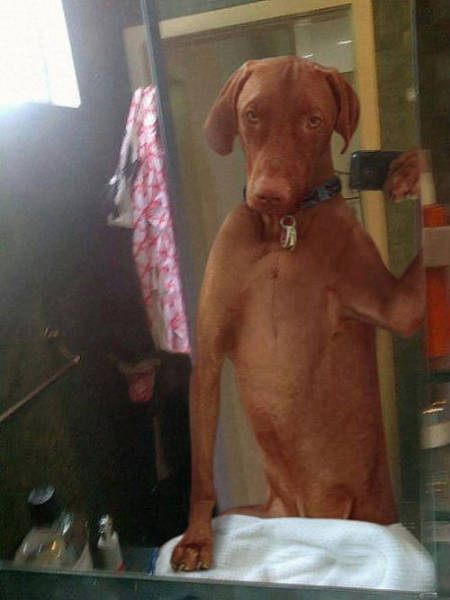 Morning Picdump