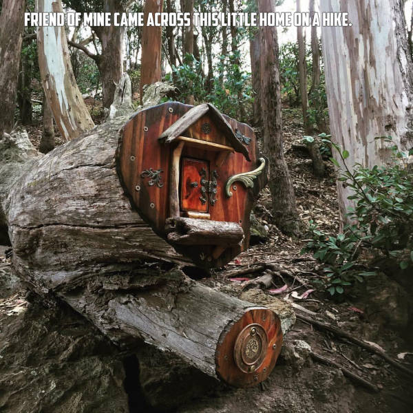 morning picdump 53 pics 7.html - 53 HD Photos | Premium Gallery 2016