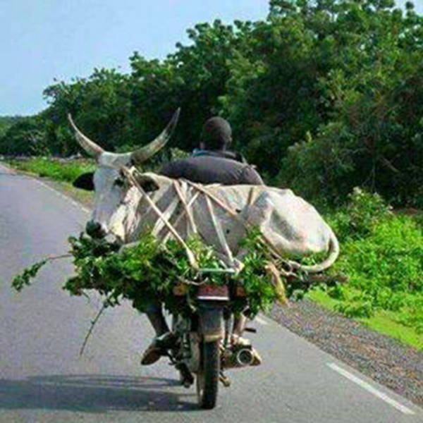 morning picdump 53 pics 7.html - 53 HD Photos | Premium Gallery 2016