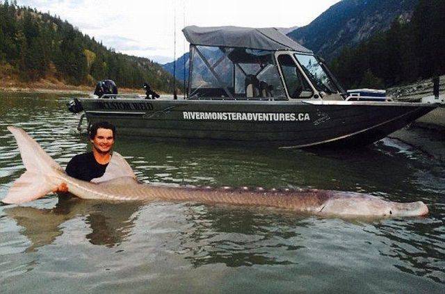 daily picdump 100 pics 50.html - 100 HD Photos | Premium Gallery 2016