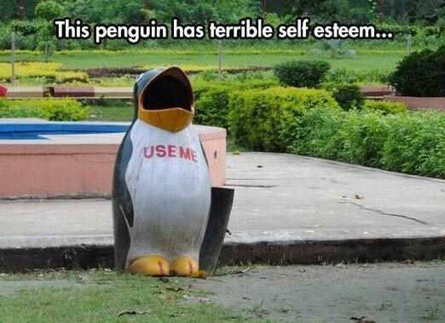 daily picdump 100 pics 50.html - 100 HD Photos | Premium Gallery 2016