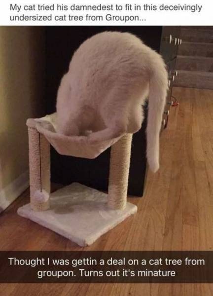 daily picdump 100 pics 50.html - 100 HD Photos | Premium Gallery 2016