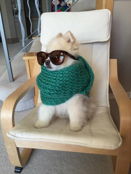 daily picdump weekend edition 53 pics 24.html - 53 HD Photos | Premium Gallery 2016