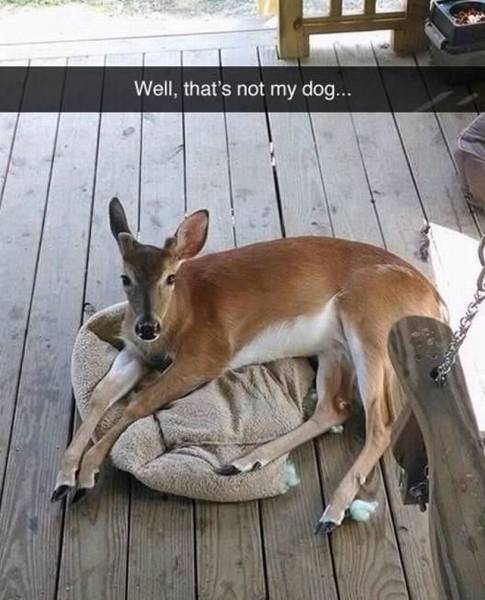 Daily Picdump