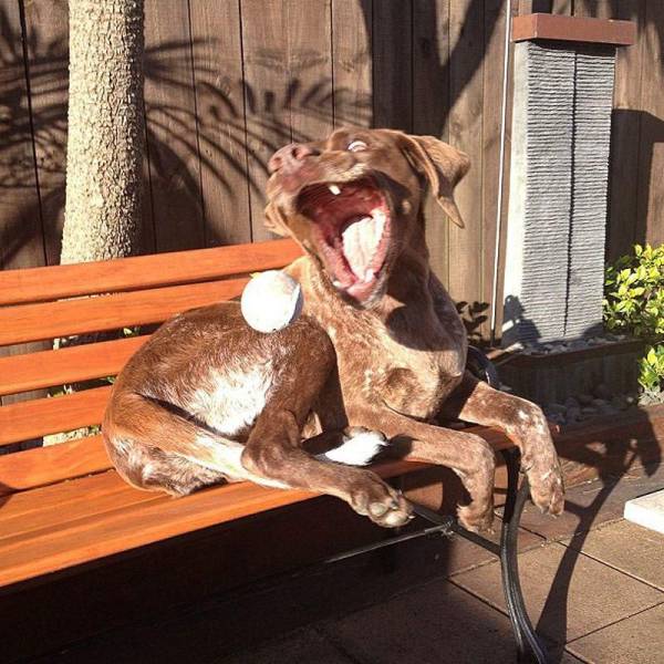 Daily Picdump