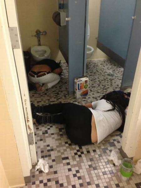 Daily Picdump