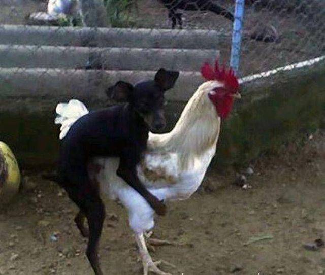 Daily Picdump