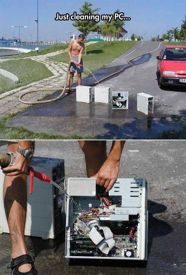 Daily Picdump
