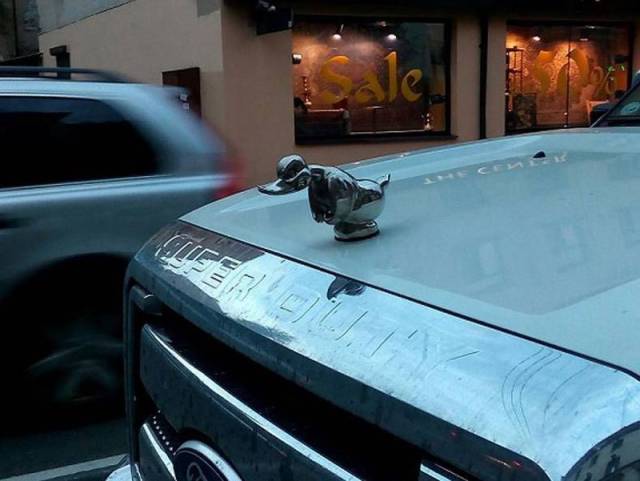 Daily Picdump