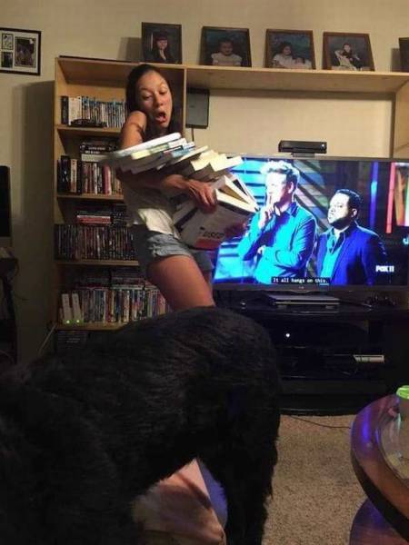 Daily Picdump