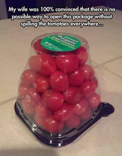 Daily Picdump