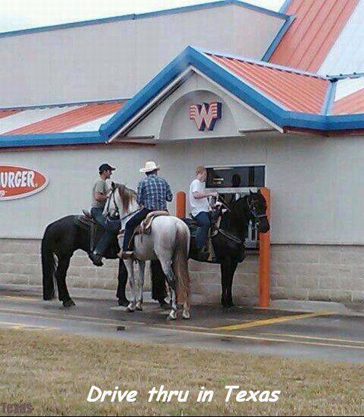 daily picdump 100 pics 4.html - 100 HD Photos | Premium Gallery 2016