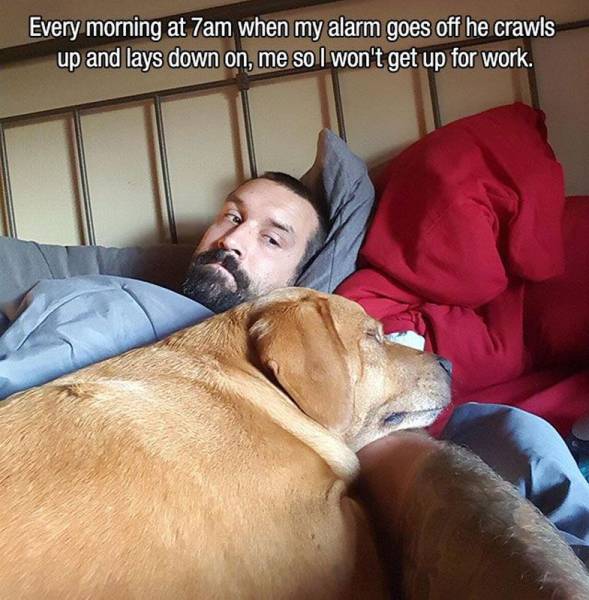 daily picdump 100 pics 4.html - 100 HD Photos | Premium Gallery 2016